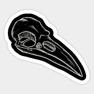 Crow skull Sticker